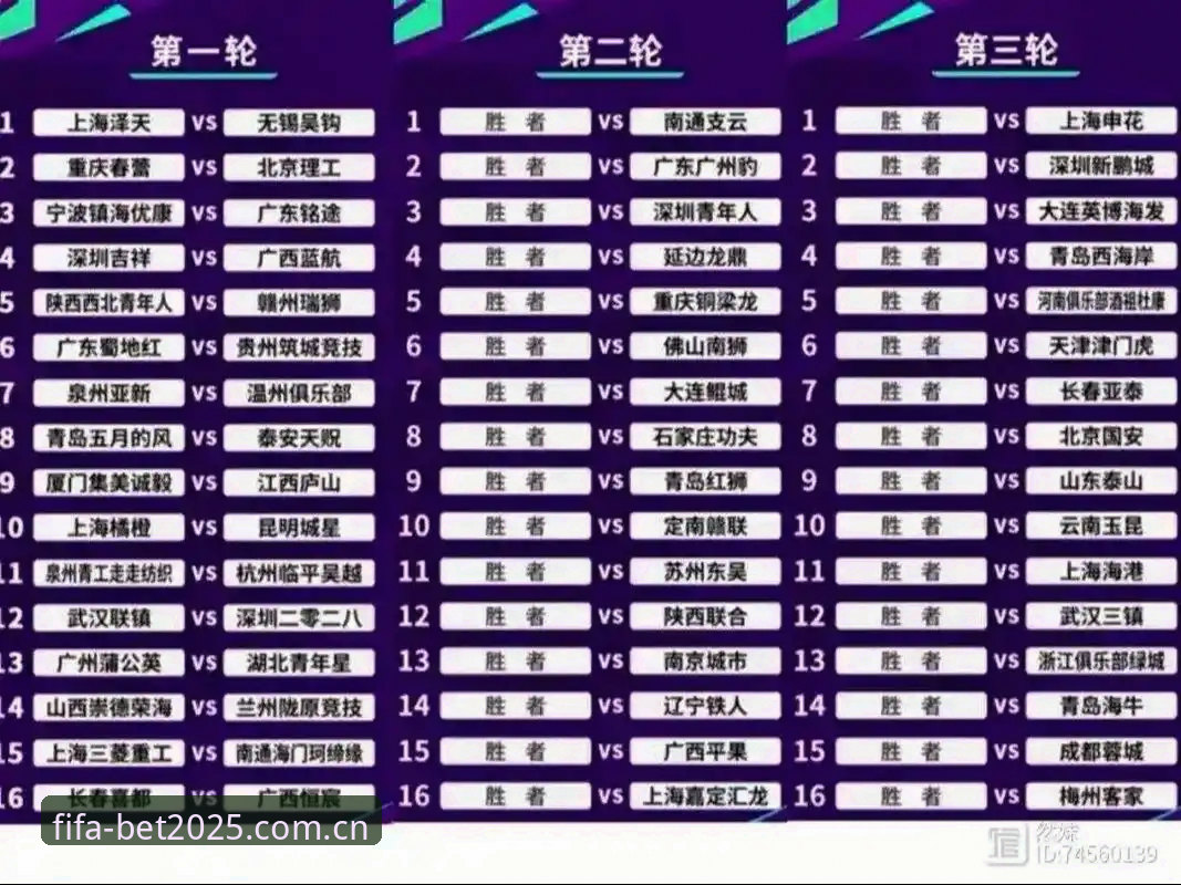 国际足联博彩app版本 2025世界杯体育彩票APP解读足协禁足名单全新视角指南